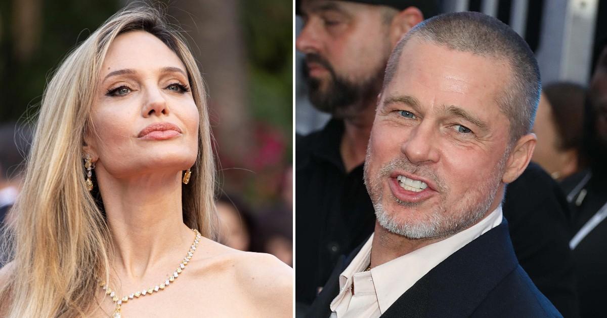 Angelina Jolie's 'Heartbreak about Brad Pitt Kids Cull'