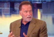 Arnold Schwarzenegger is raging about illegal immigrants on 'The View'