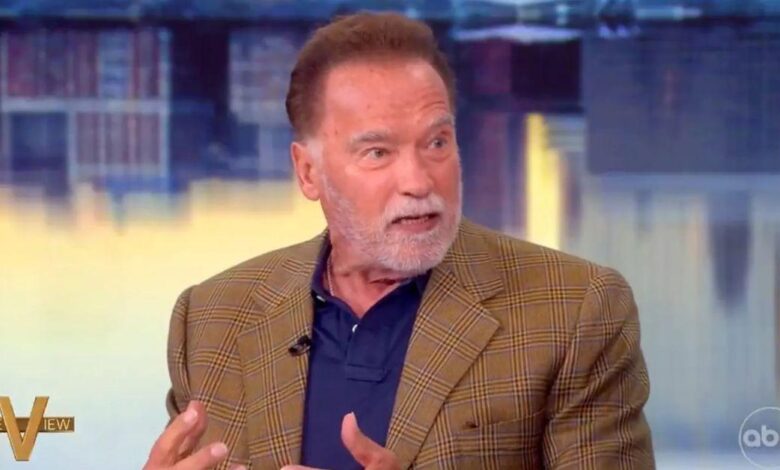 Arnold Schwarzenegger is raging about illegal immigrants on 'The View'