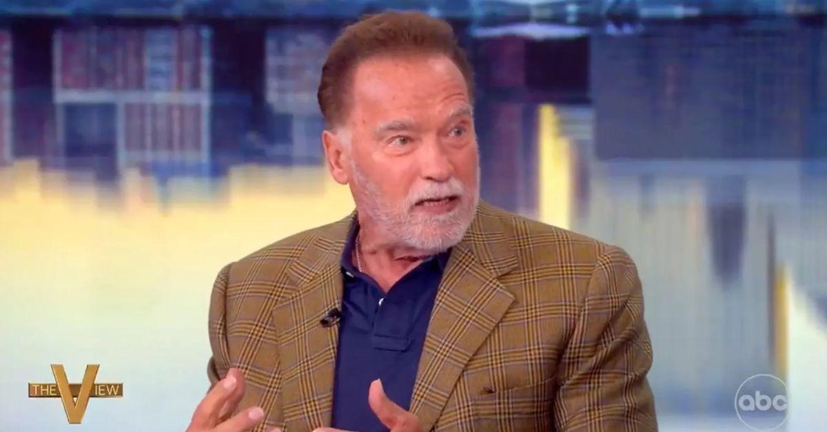 Arnold Schwarzenegger is raging about illegal immigrants on 'The View'