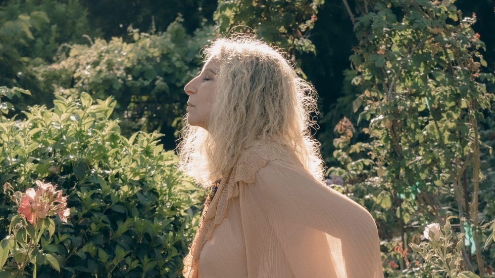 Barbra Streisand on a new album, not enough for Meet the Fockers