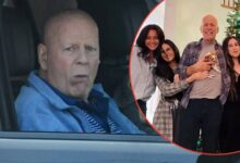 Bruce Willis' $ 250 million inheritance for family unveiled