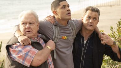 'Doctor Odyssey' canceled on ABC after a season