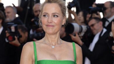 Gillian Anderson becomes candid about photographing steaming sex scenes