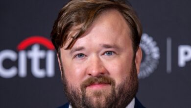 Haley Joel Osment ordered 3 AA meetings to attend per week