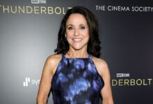 Julia Louis-Dreyfus catches Fan to watch Veep on a plane