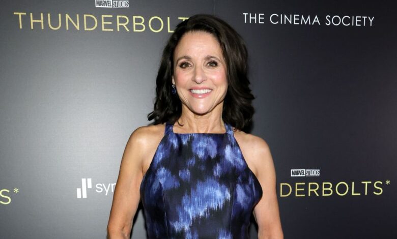 Julia Louis-Dreyfus catches Fan to watch Veep on a plane