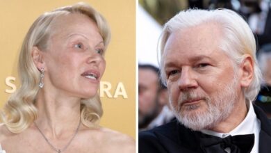 Pamela Anderson in fresh tape leak anxiety