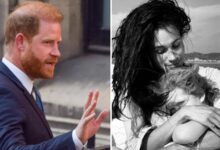 Prince Harry 'Fuming about Meghan Markle Children Pictures'