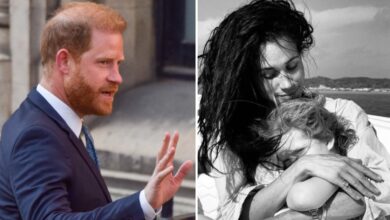 Prince Harry 'Fuming about Meghan Markle Children Pictures'