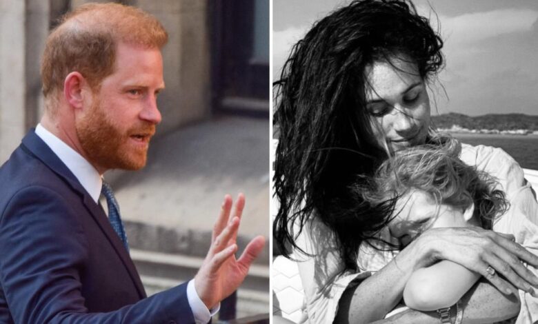 Prince Harry 'Fuming about Meghan Markle Children Pictures'