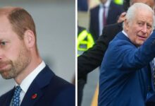 Prince William's 'Succession Secret Weapons' unveiled