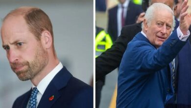 Prince William's 'Succession Secret Weapons' unveiled