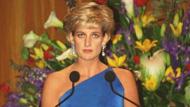 Princess Diana 'Slut Shamed' in Wake of Charles Divorce