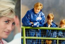 Princess Diana's greatest pain about sons revealed