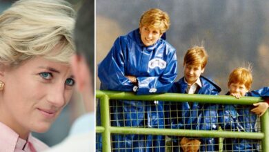 Princess Diana's greatest pain about sons revealed