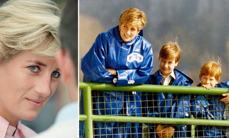Princess Diana's greatest pain about sons revealed