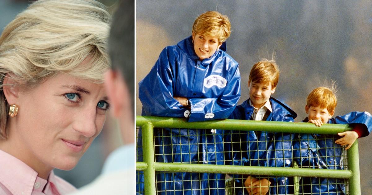 Princess Diana's greatest pain about sons revealed