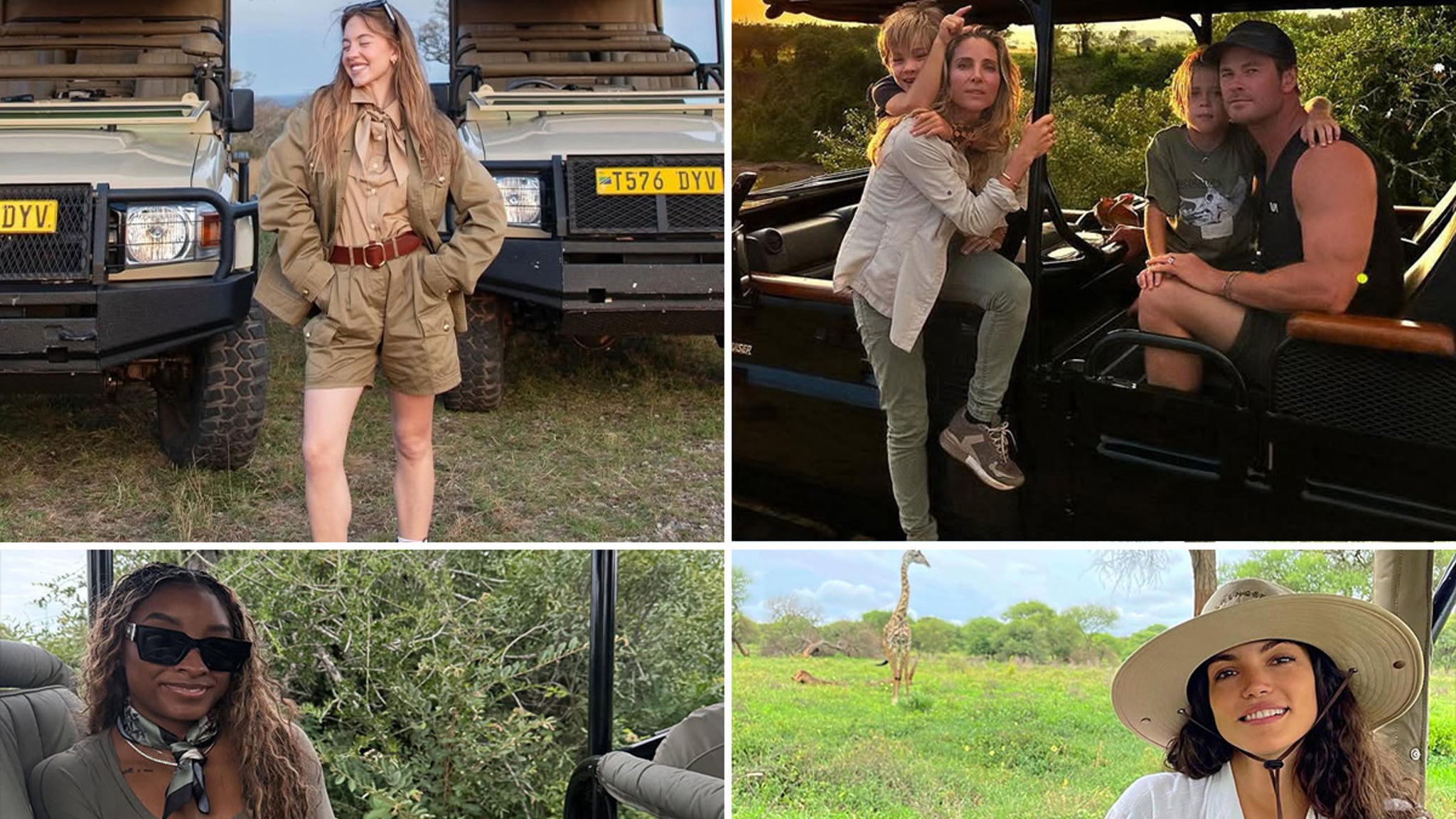 Stars on safaris ... where the wild things are!