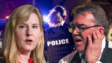 The manifesto of the legislator of Minnesota Suspect, found, desired more dead