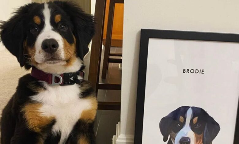 These custom pets portraits are the most useful gift