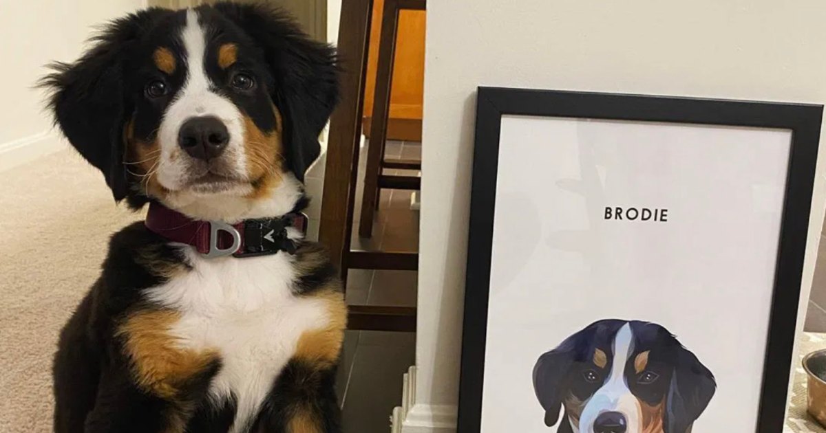 These custom pets portraits are the most useful gift