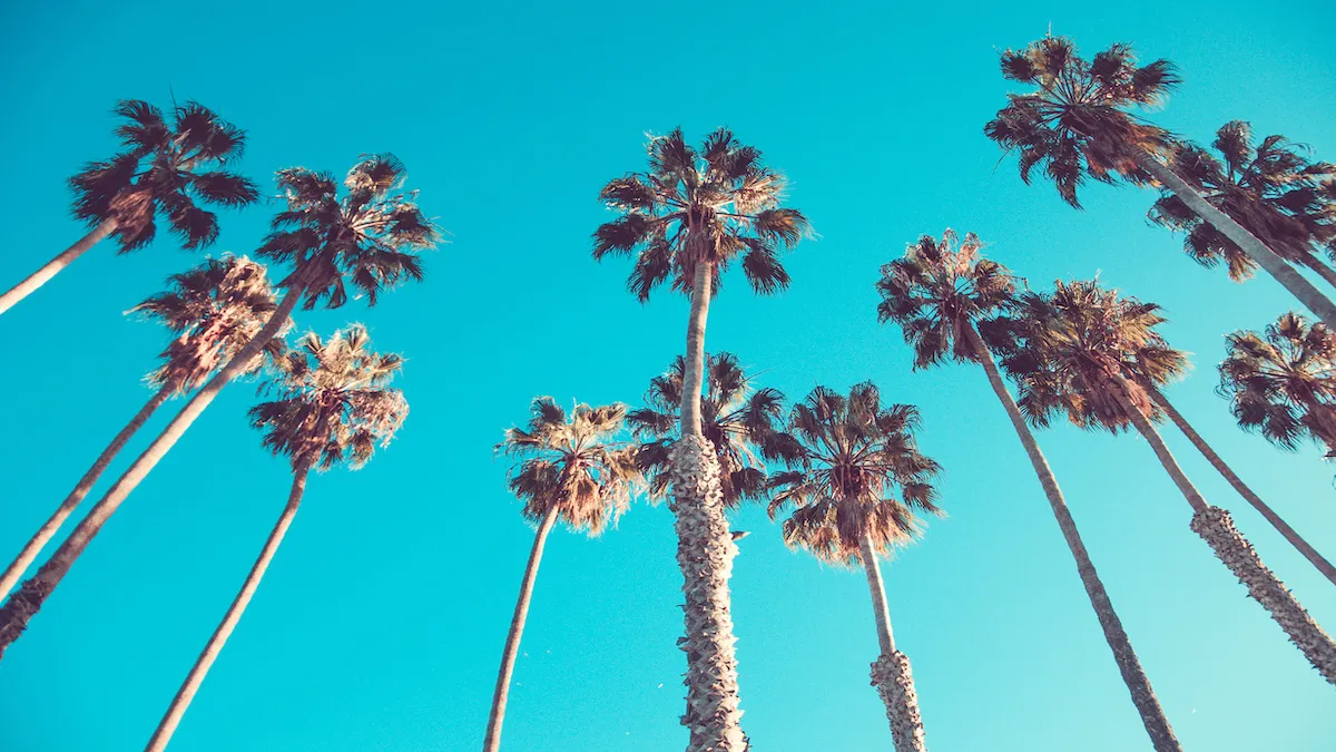 Top -producing California Agent joins Exp Realty