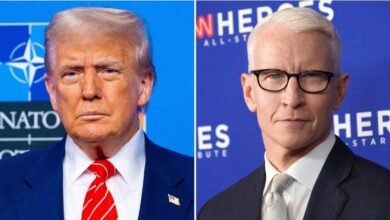 Trump 'is obsessed with CNN star for having' everything he longs for '