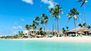 5 Caribbean Sargassum-Free Islands Ideal for Summer 2025 Vacation