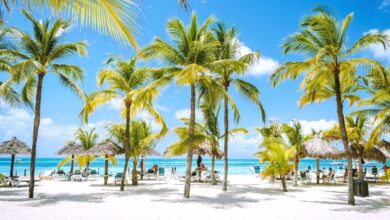 6 Best Caribbean Islands To Visit In June 2024 (Without Seaweed)