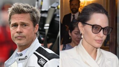 Brad Pitt 'Planning to get Angelina Jolie too bankrupt
