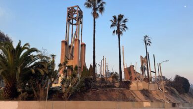 LA fires palm trees