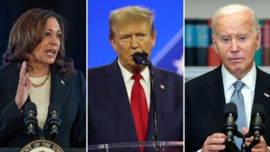 Democrats penetrate supporters to 'become more violent' in Trump resistance