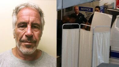 Jeffrey Epstein's brother claims that Sex Predator was murdered in cover-up