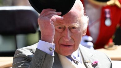 King Charles's gardeners stopped in the midst of claims of paranoia induced by cannabis