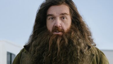 Nick Frost makes Hagrid debut in first look photo