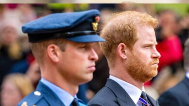 Prince Harry's Royal Peace Talks 'means nothing' without Prince William