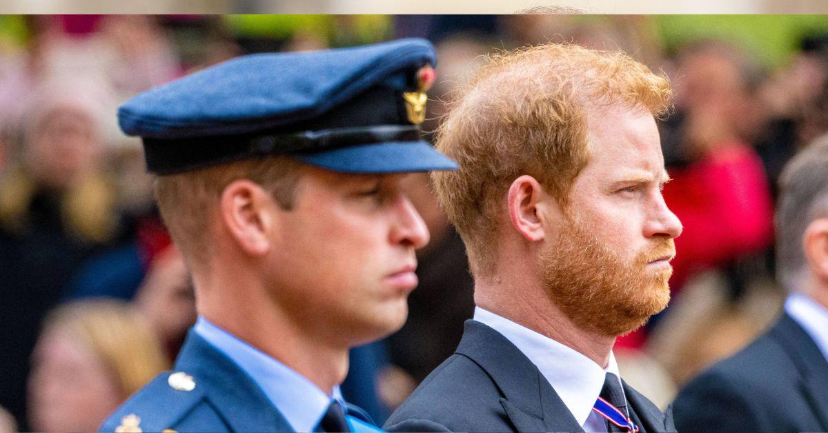 Prince Harry's Royal Peace Talks 'means nothing' without Prince William