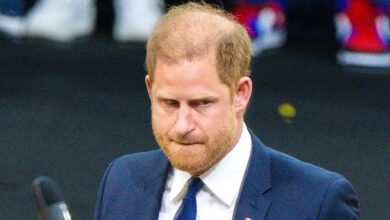 Prince Harry's family in the line of terrorist fire