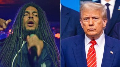 Punk duo Bob Vylan Rage in Trump after Visa have been withdrawn