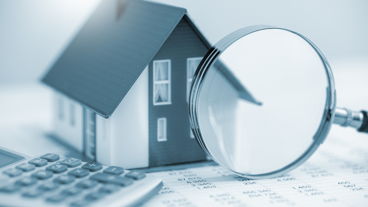 Contributor's Piece (3)