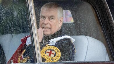 The royal family is ashamed by another sex scandal