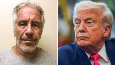 Epstein was 'protected' by CIA and Trump, former Bodyguard Claims