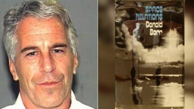 Epstein's fantasies inspired by novel about teenage slavery
