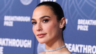 Gal Gadot stays away from the Venice film festival about Gaza protests