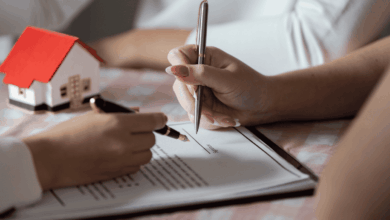 Contributor's Piece (16)