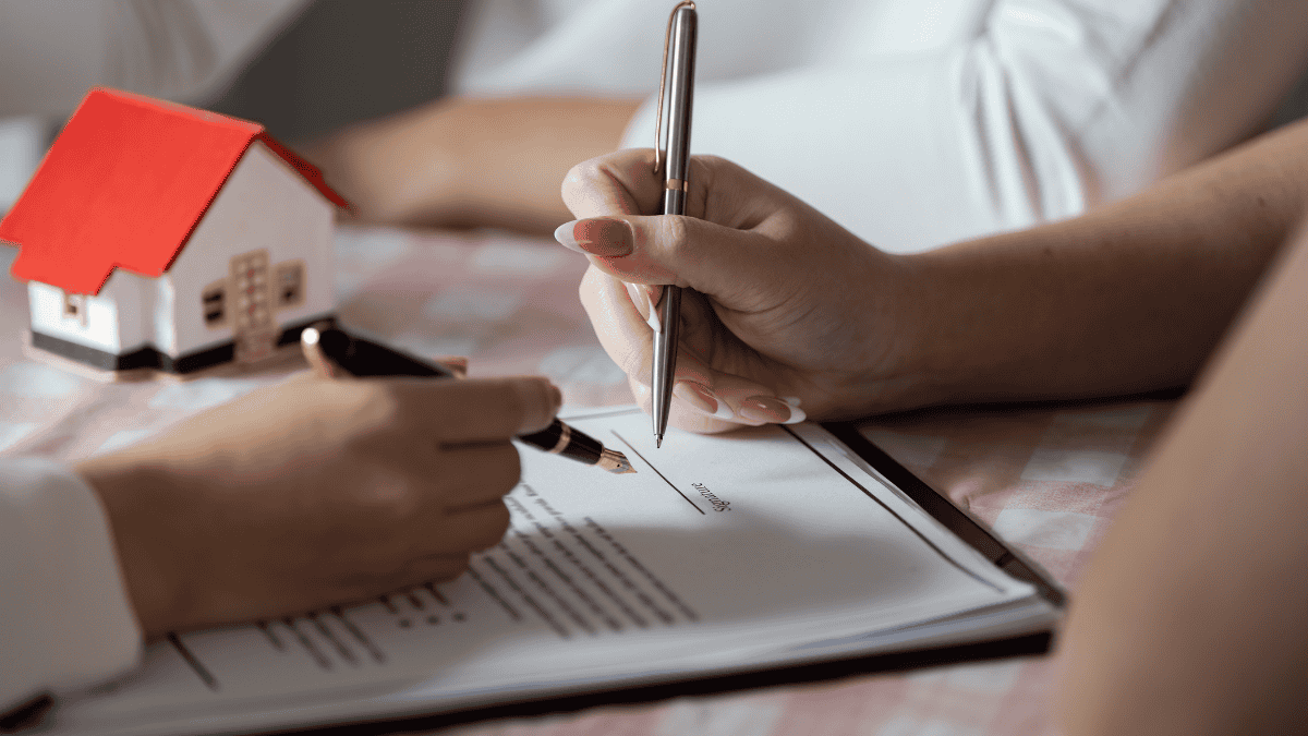 Contributor's Piece (16)