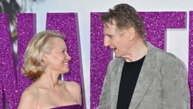 Liam Neeson 'terrified' Pamela Anderson 'does not love him'
