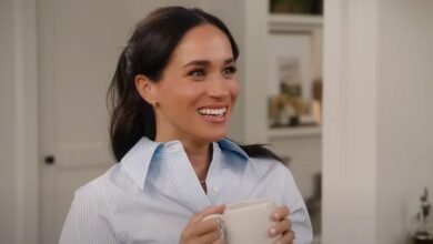 Meghan slides and makes a bold explanation about having a 'secret child'