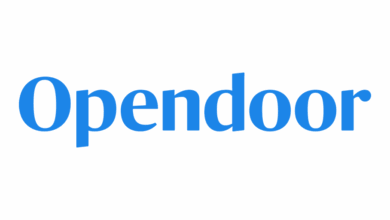 OpenDoor turns to agents in the hunt for profitability